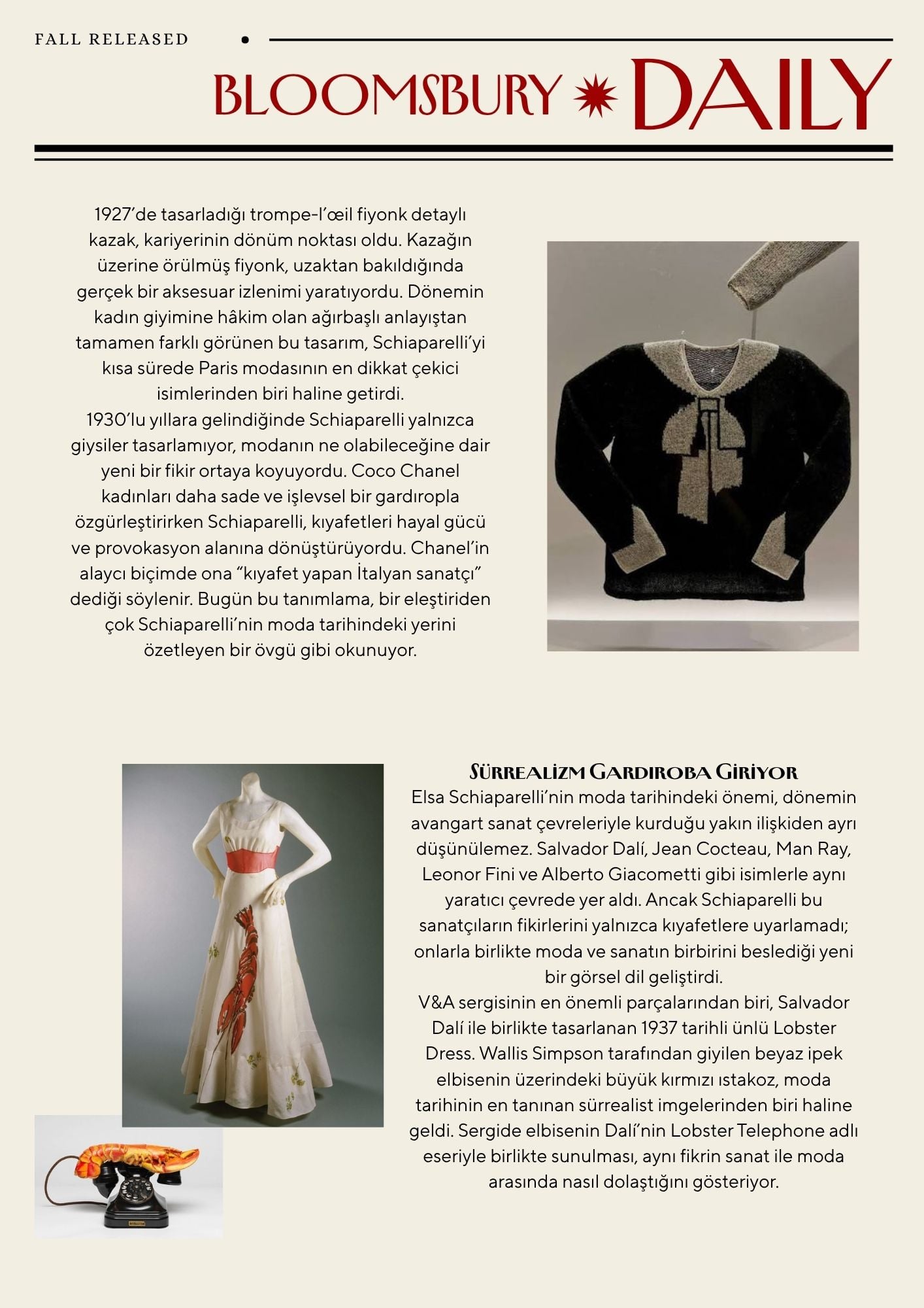 Schiaparelli Türkçe Sayfa 2