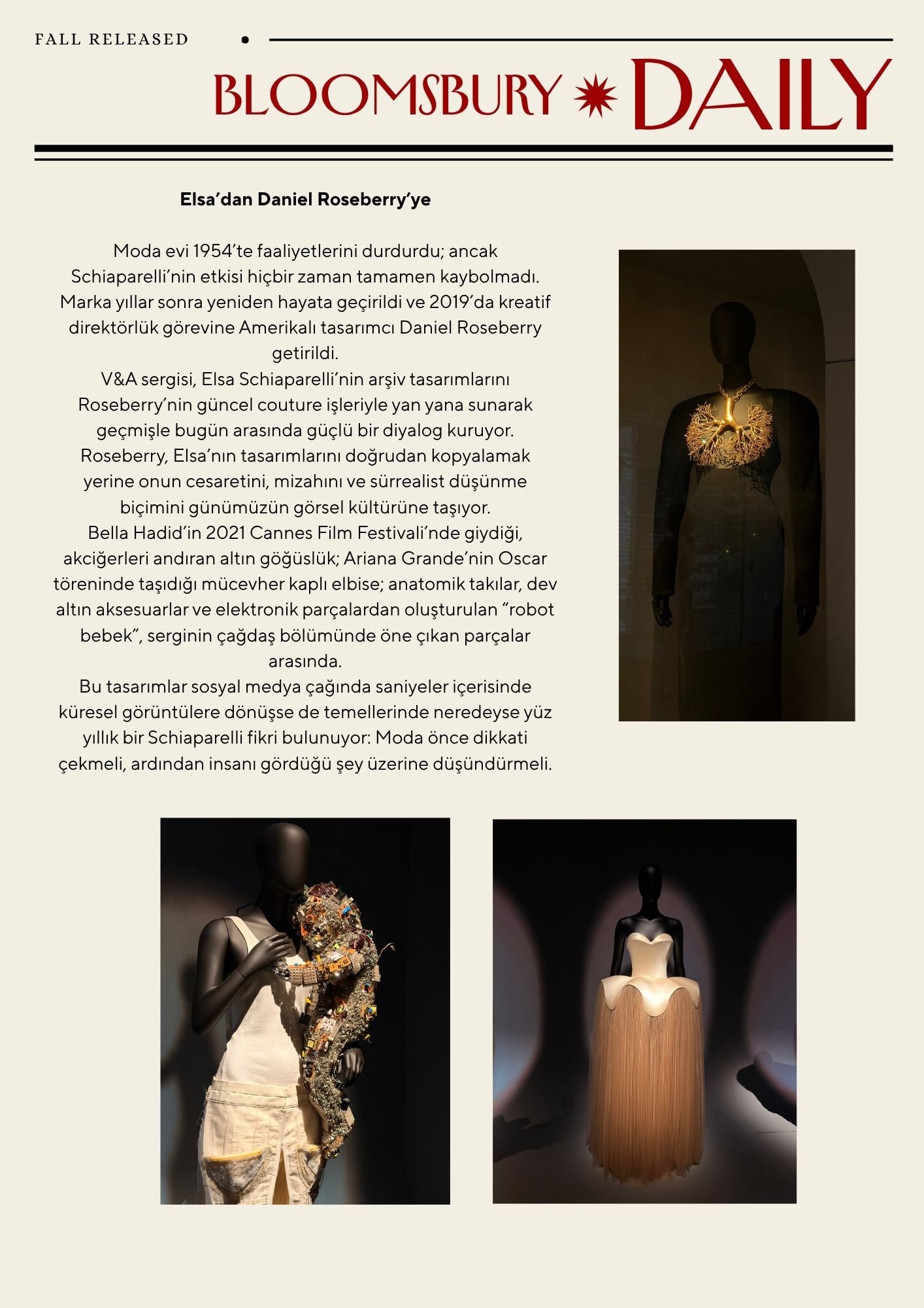 Schiaparelli Türkçe Sayfa 4
